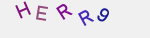recopiez ce texte 