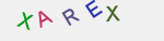 recopiez ce texte 