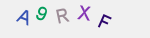 recopiez ce texte 