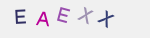 recopiez ce texte 