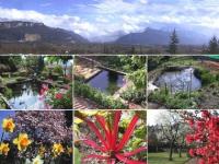 Location de particuliers � particuliers G�te La Source, au pied des Alpes G�te Is�re photo 5