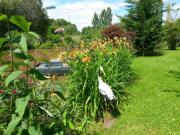 Location de particuliers � particuliers Les terrasses du l�ard Chambres d'hotes Sarthe photo 12