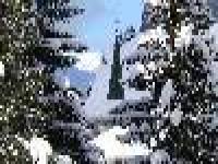 Location de particuliers � particuliers Au pied des pistes en savoie class� ** 3/4 pers au calme Location saisonni�re Savoie photo 6