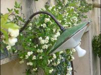 Location de particuliers � particuliers LA CHARLOTTE CHAMBRE D' HOTES DE CHARME AVEC CUISINE Chambres d'hotes Bouches du rh�ne photo 4