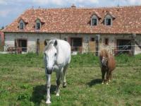 Location de particuliers � particuliers Domaine du Vieux Chateau avec Piscine G�te Pas de Calais photo 10