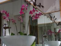 Location de particuliers � particuliers Gite dans l'herault G�te H�rault photo 5