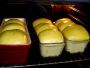 Location de particuliers � particuliers Chambre d'hotes de charme, tout confort, au calme Chambres d'hotes Dordogne photo 6