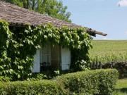 Location de particuliers � particuliers Chambres d'H�te  Bordeaux Sauternes Peyraguey Maison Rouge au milieu des vignes Chambres d'hotes Gironde photo 9