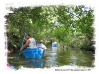 Location de particuliers � particuliers Bienvenue au bord du lac de Leon Location saisonni�re Landes photo 10