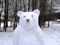 Location de particuliers � particuliers Auvergne & SPA en Chalets de montagne Chalet Cantal photo 7