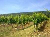 Location de particuliers � particuliers Charmantes chambres au coeur de l'Alsace Chambres d'hotes Haut Rhin photo 6