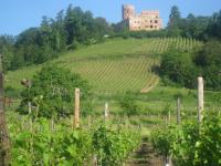 Location de particuliers � particuliers Les Gites du Relais des Vignes  G�te Bas Rhin photo 2