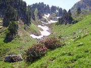 Location de particuliers � particuliers G�te avec piscine en ARIEGE-PYRENEES Chalet Ari�ge photo 3