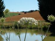 Location de particuliers � particuliers Chambres d'H�tes du Moulin d'Encor Chambres d'hotes Gers photo 15