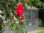 Location de particuliers � particuliers La Grange D�mi�re, maison d'h�tes de charme pr�s de Tours Chambres d'hotes Indre et Loire photo 11