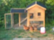 Location de particuliers � particuliers G�te dans le Gers G�te Gers photo 8