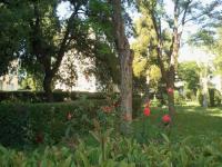Location de particuliers � particuliers BnB  charment village au c�ur de MARSEILLE          Chambres d'hotes Bouches du rh�ne photo 10