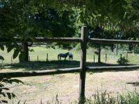 Location de particuliers � particuliers Domaine d�Angelberg Chambres d'hotes Aveyron photo 10