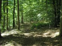 Location de particuliers � particuliers Domaine d�Angelberg Chambres d'hotes Aveyron photo 5