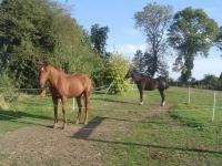 Location de particuliers � particuliers Gites pas de calais st pol sur ternoise G�te Pas de Calais photo 5