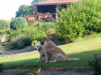 Location de particuliers � particuliers Gites pas de calais st pol sur ternoise G�te Pas de Calais photo 6