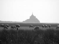 Location de particuliers � particuliers Chambres d'h�tes en baie du Mont Saint Michel Chambres d'hotes Manche photo 6