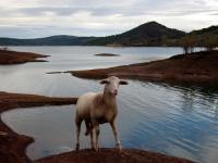 Location de particuliers � particuliers G�te rural de charme au bord du lac du Salagou dans le Sud de la France G�te H�rault photo 10