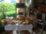 Location de particuliers � particuliers La Villa GUIDI - Maison d'hote de charme - B&B Corsica (Guest House) Chambres d'hotes Corse du Sud photo 5