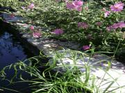 Location de particuliers � particuliers Location g�te de charme avec piscine chauff�e et spa couvert G�te Lot photo 3