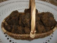 Location de particuliers � particuliers Etincelle de r�ve et D�couverte de la truffe Chambres d'hotes Dr�me photo 6