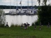 Location de particuliers � particuliers G�te des roises G�te Meuse photo 11