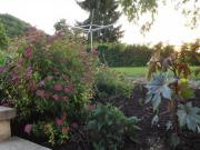 Location de particuliers � particuliers G�te des roises G�te Meuse photo 8