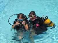 Location de particuliers � particuliers Location de Mobilhome et chalet � Vidauban Location saisonni�re Var photo 9