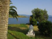 Location de particuliers � particuliers Loue bas de villa. Les pieds dans l'eau !! A 50 m de la mer. Location 8 pers.Piscine Priv�e (12m*8m) Location saisonni�re Corse du Sud photo 8