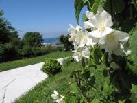 Location de particuliers � particuliers Villa Z�phyr, chambres d'h�tes en baie de somme, vue sur mer Chambres d'hotes Somme photo 3