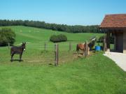 Location de particuliers � particuliers Gite du Colombier au coeur de la nature G�te Jura photo 15