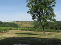 Location de particuliers � particuliers G�te Epernon, proche Langon, Saint Emilion, Sauternes. Maison ind�pendante ancienne restaur�e, 85m� G�te Gironde photo 2