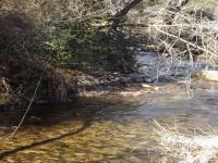 Location de particuliers � particuliers Location de vacances en Corse - villa 38m2 Location saisonni�re Corse du Sud photo 4