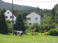 Location de particuliers � particuliers Alsace Gite ind�pendant au coeur du parc naturel G�te Haut Rhin photo 9