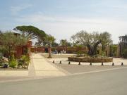 Location de particuliers � particuliers Mobil-Home � Saint Tropez Camping / Mobile-home Var photo 7