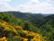 Location de particuliers � particuliers Gite de groupe en bordure du Parc National des c�vennes G�te Gard photo 5