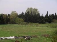 Location de particuliers � particuliers Studio 4/5 pers. pr�s de Collioure � ST Cyprien en bord de mer   G�te Pyr�n�es Orientales photo 6