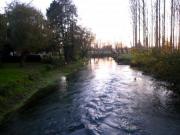 Location de particuliers � particuliers La Ferme De Tigny - G�te & Chambre d'H�tes en COTE D'OPALE - Mer, Rivi�re & Animaux... G�te Pas de Calais photo 15
