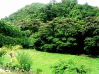 Location de particuliers � particuliers Chalet kreyol en location saisonni�re en MARTINIQUE Location saisonni�re Martinique photo 10