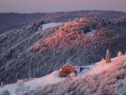 Location de particuliers � particuliers Les biches � la bresse a 5 m�tres des pistes de skis (la belle montagne) station du hohneck Location saisonni�re Vosges photo 15