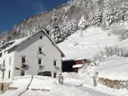Location de particuliers � particuliers Les biches � la bresse a 5 m�tres des pistes de skis (la belle montagne) station du hohneck Location saisonni�re Vosges photo 2