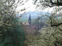 Location de particuliers � particuliers Au Lac de MADINE - Gite de la forge aux pieds des C�tes de Meuse G�te Meuse photo 10