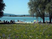 Location de particuliers � particuliers Au Lac de MADINE - Gite de la forge aux pieds des C�tes de Meuse G�te Meuse photo 15