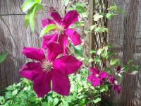 Location de particuliers � particuliers Bed and Breakfast Roanne Chambres d'hotes Loire photo 10