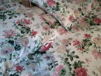 Location de particuliers � particuliers Bed and Breakfast Roanne Chambres d'hotes Loire photo 7